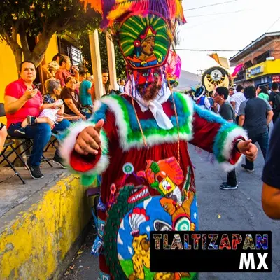 Carnaval de Tlaltizapán 2019 - Parte 2